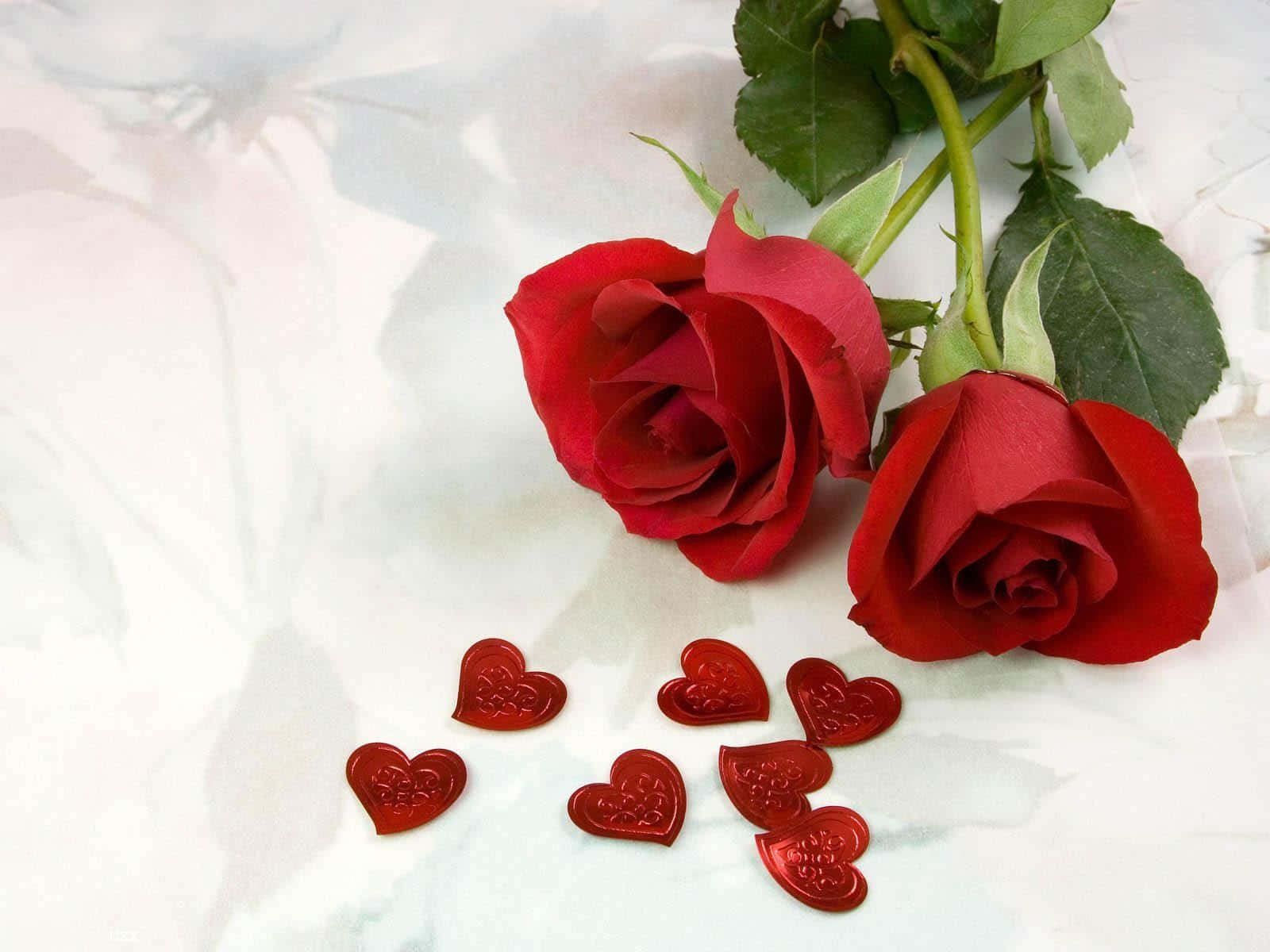 Love in Every Bloom